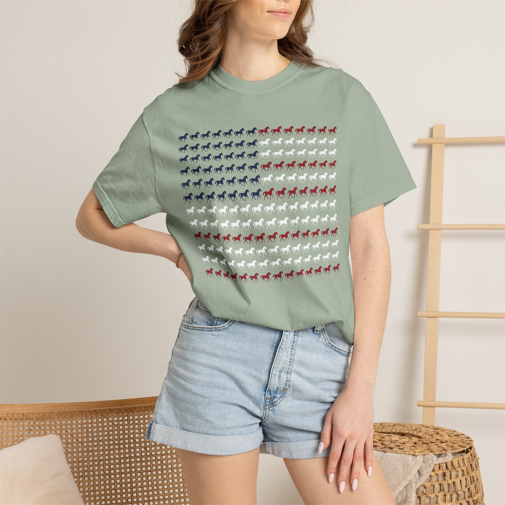 American flag