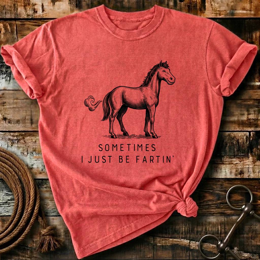 sometimes i just be fartin'