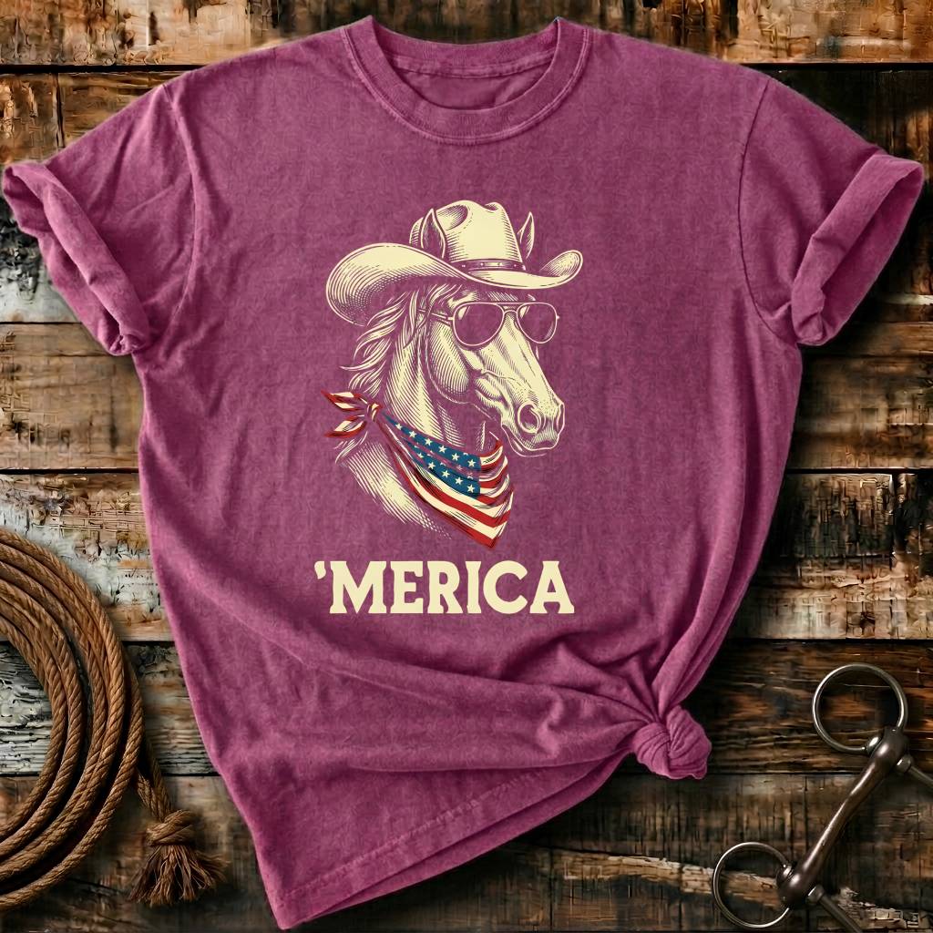 MERICA