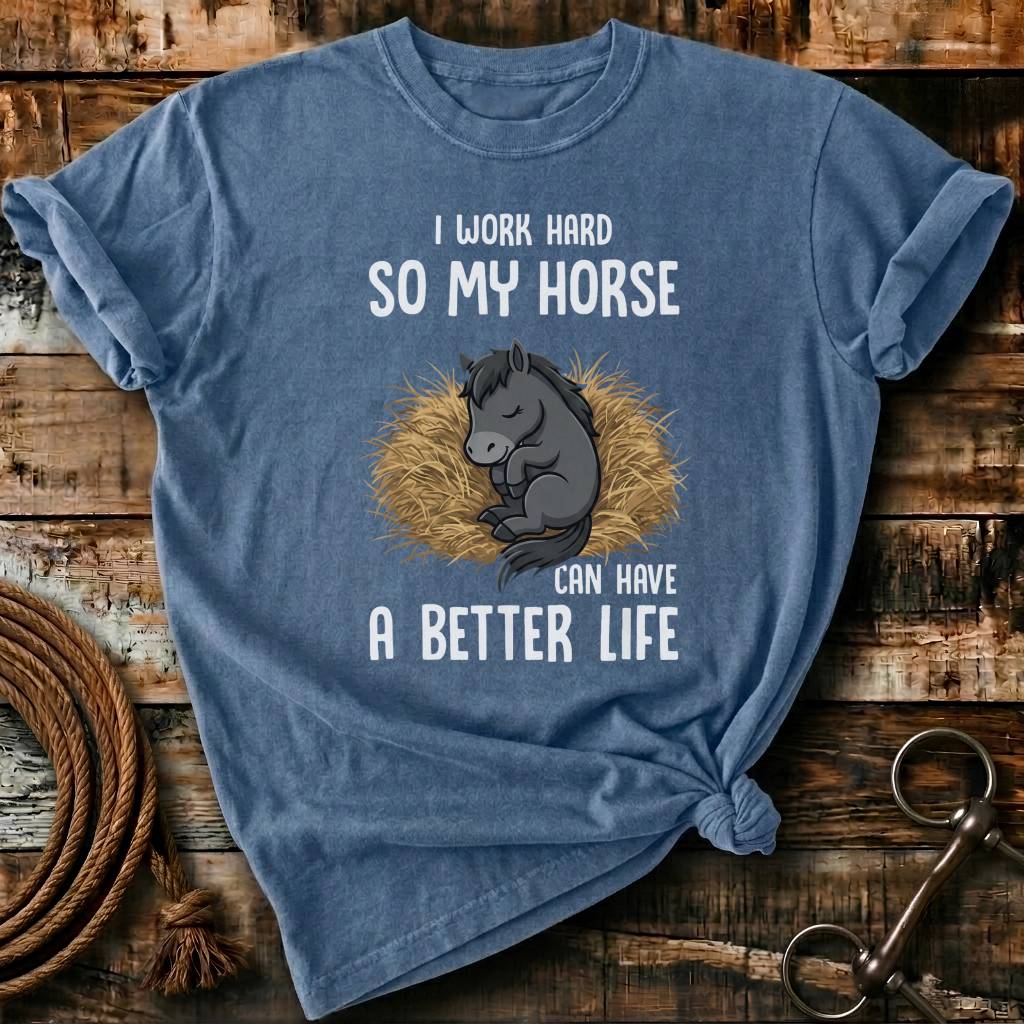 my horse have a better life