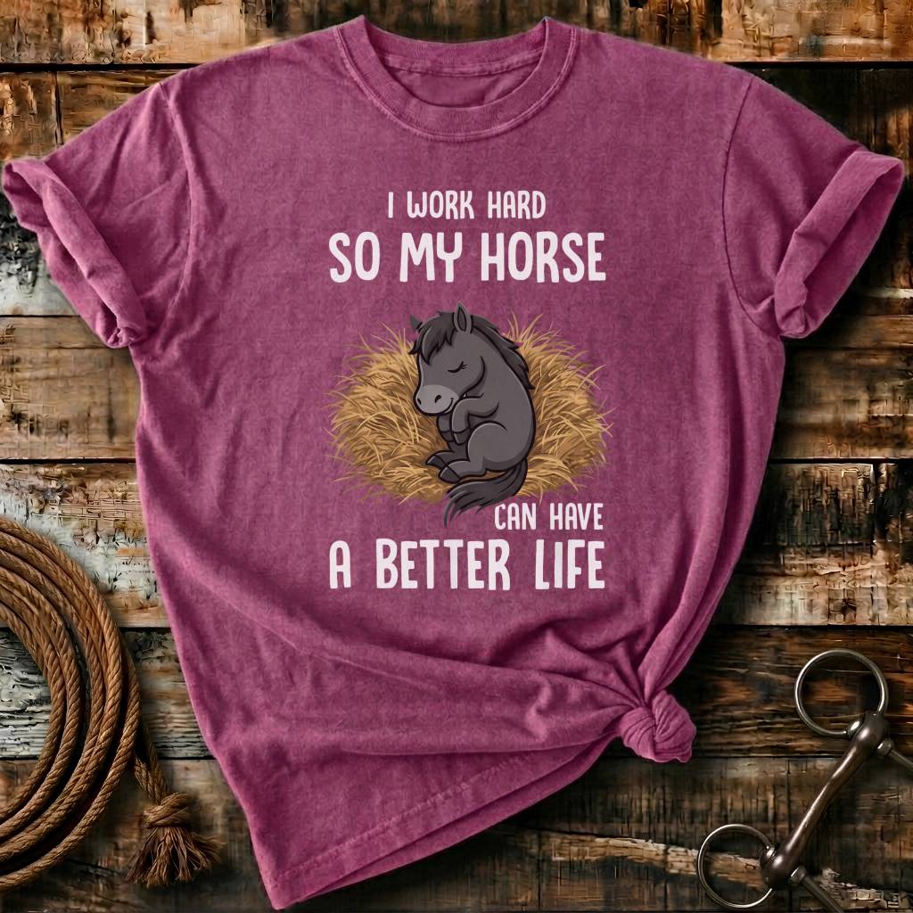 my horse have a better life
