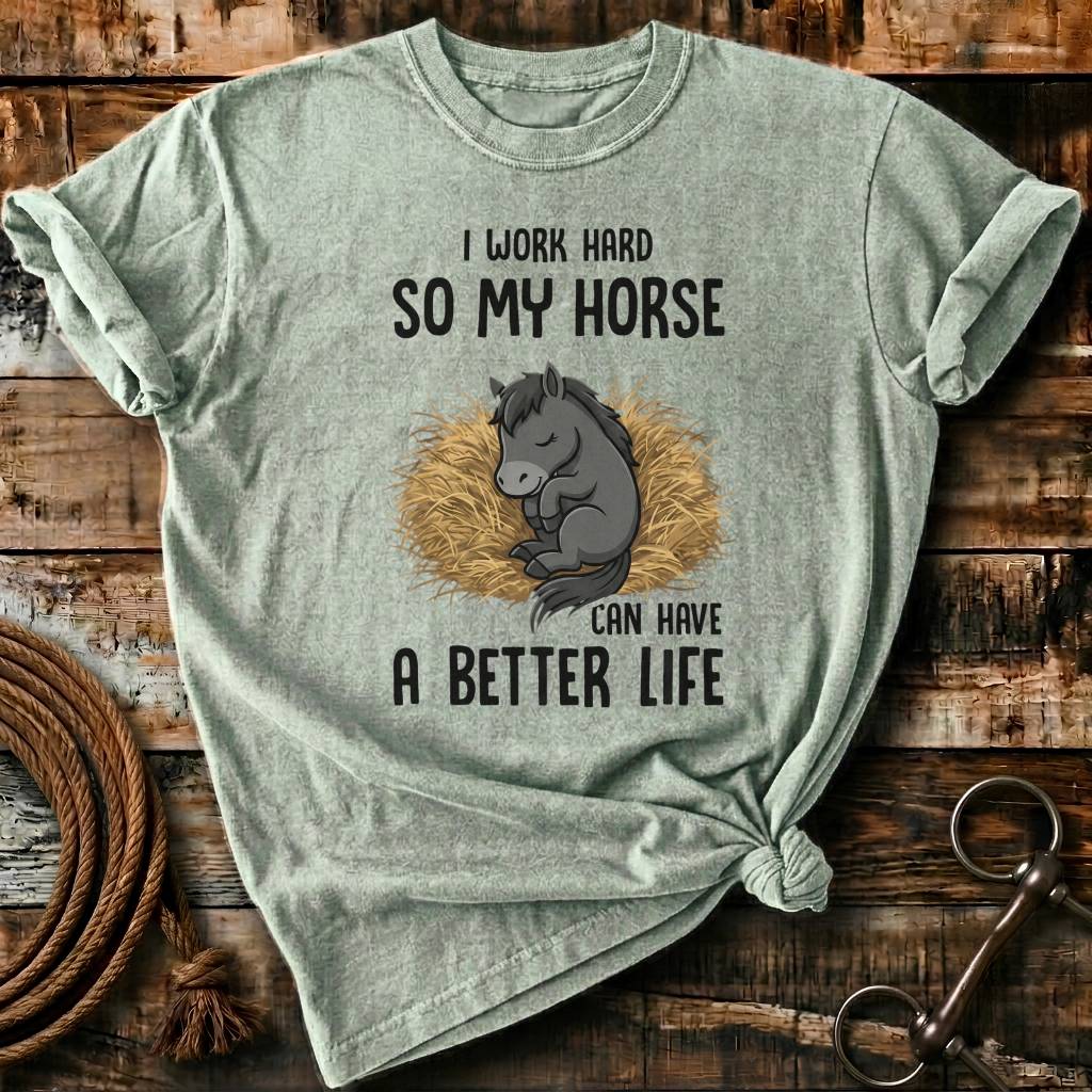 my horse have a better life