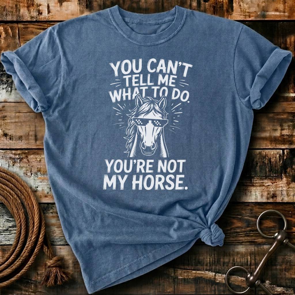 You're not my horse