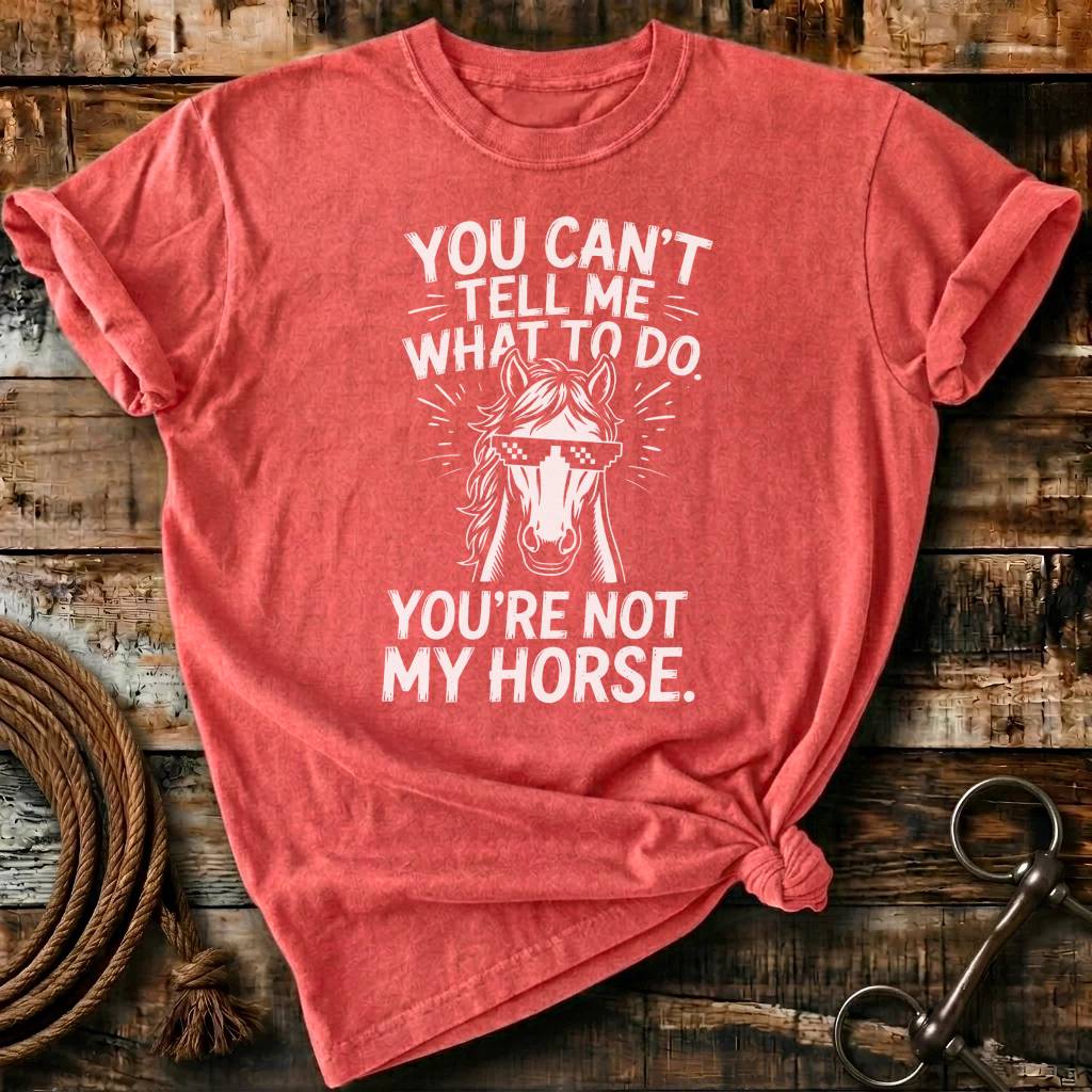 You're not my horse