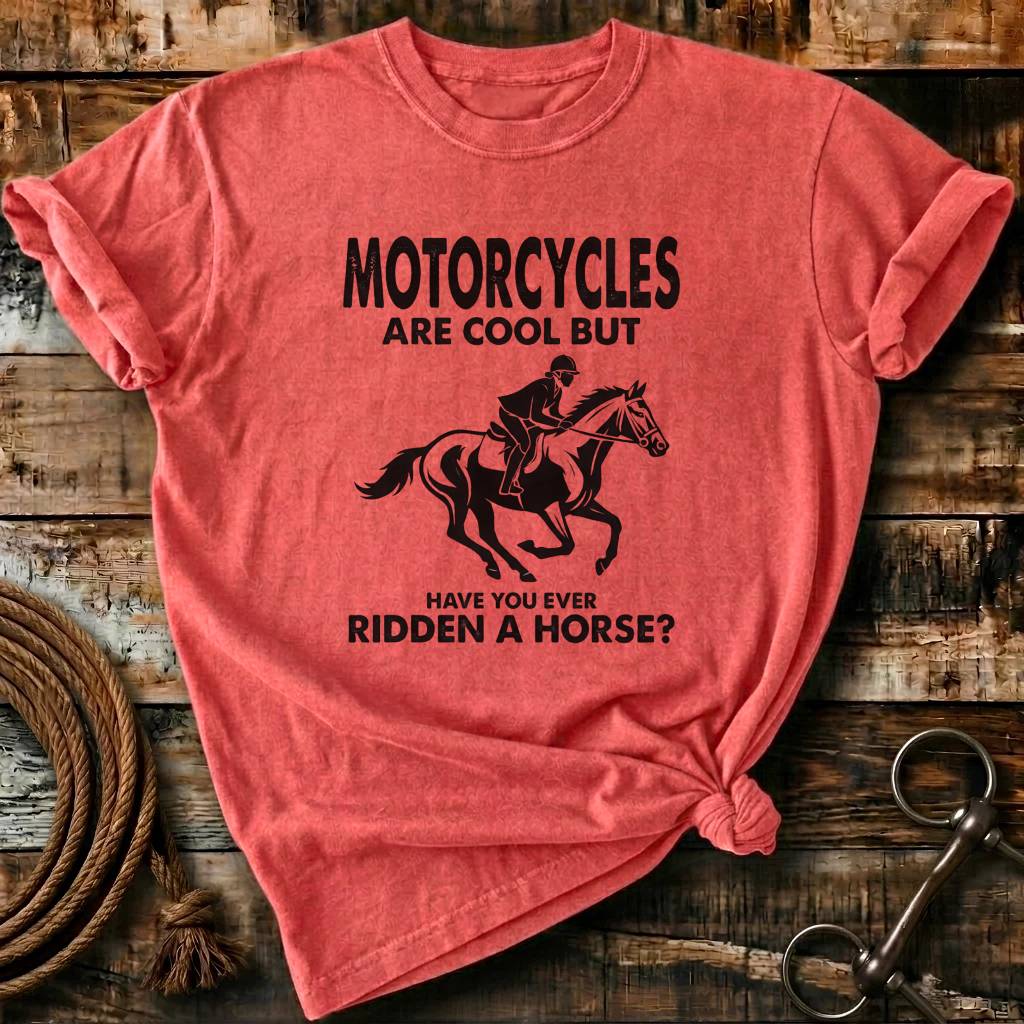 Have you ever Ridden a horse?