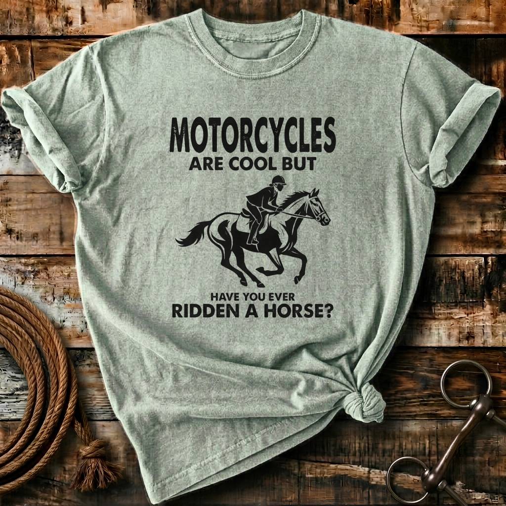 Have you ever Ridden a horse?