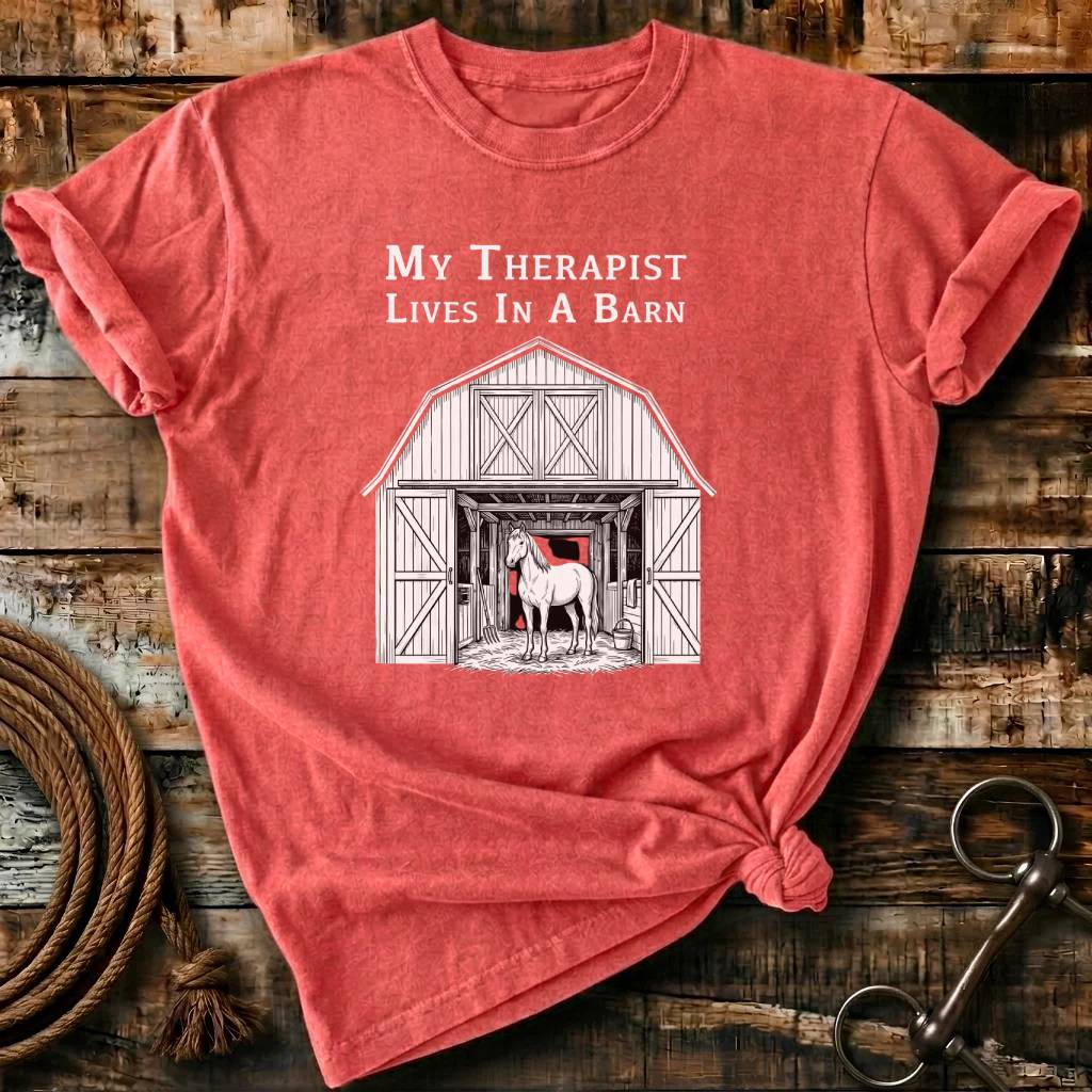 My Therapist Lives In a Barn