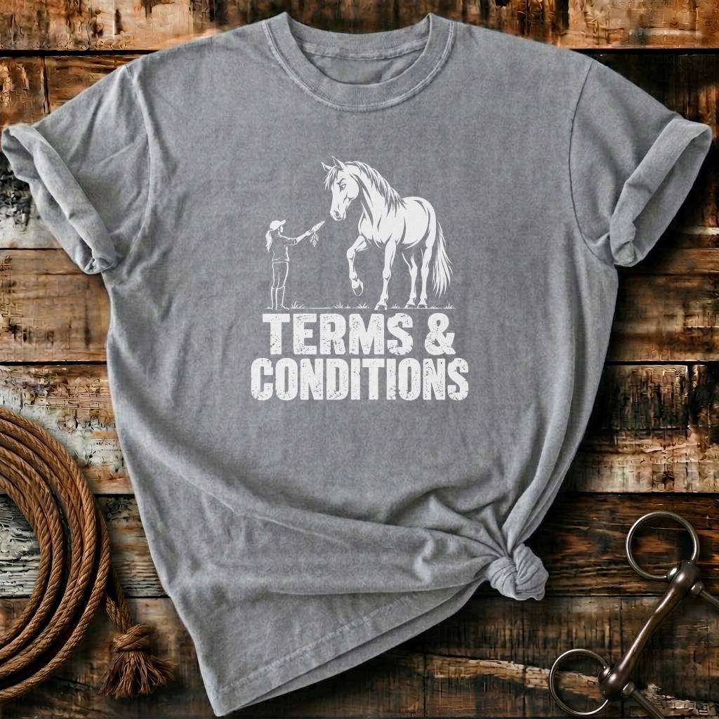 TERMS & CONDITIONS