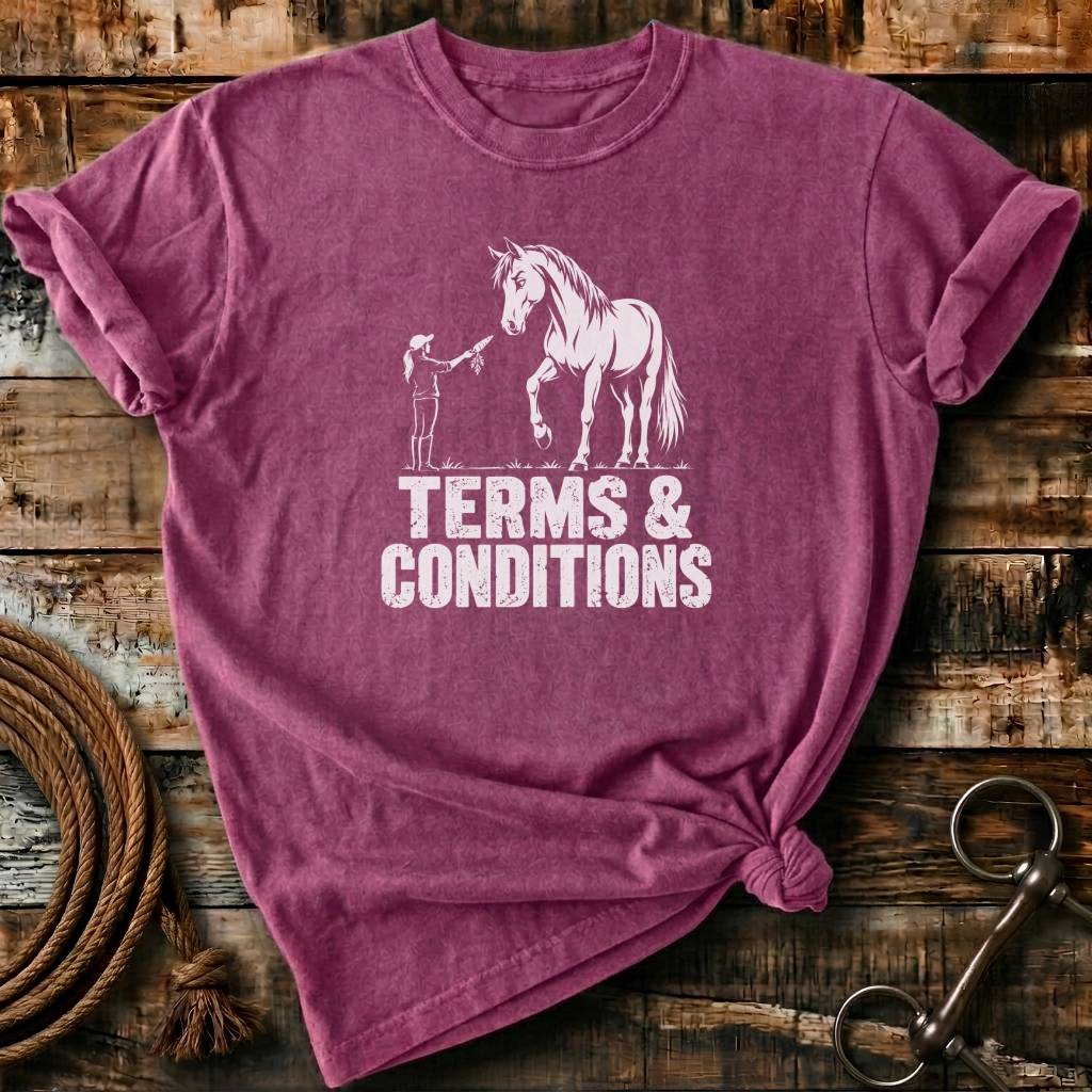 TERMS & CONDITIONS