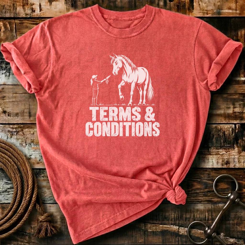 TERMS & CONDITIONS