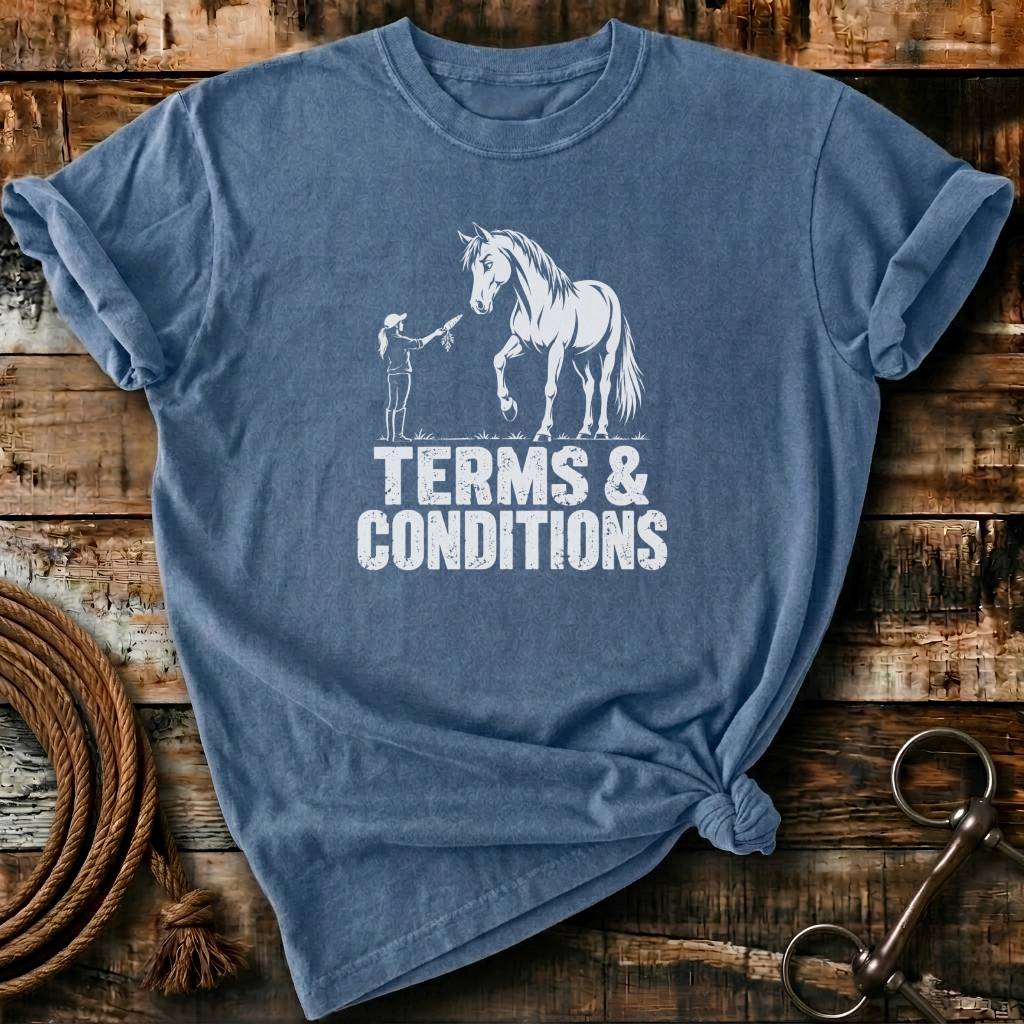 TERMS & CONDITIONS