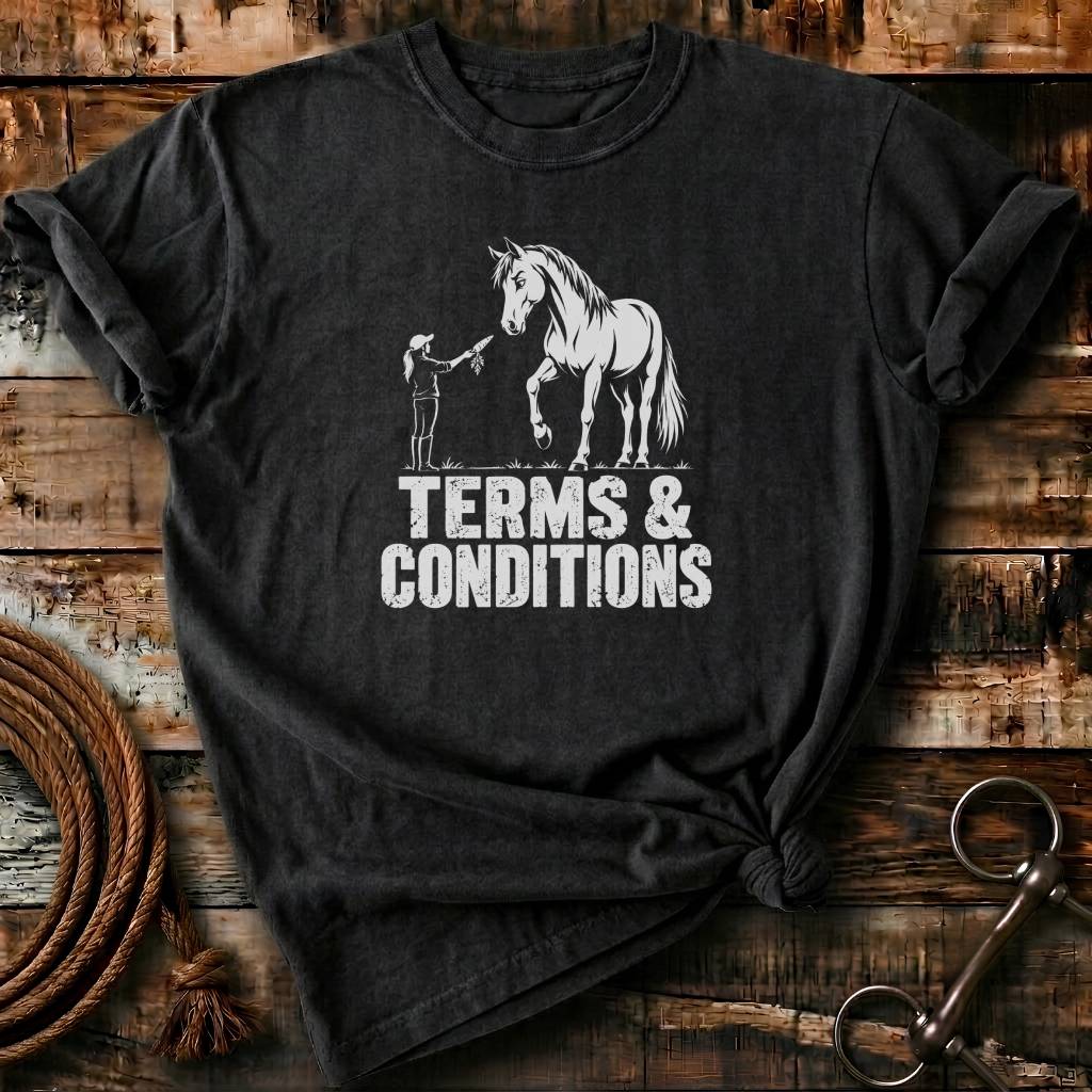 TERMS & CONDITIONS