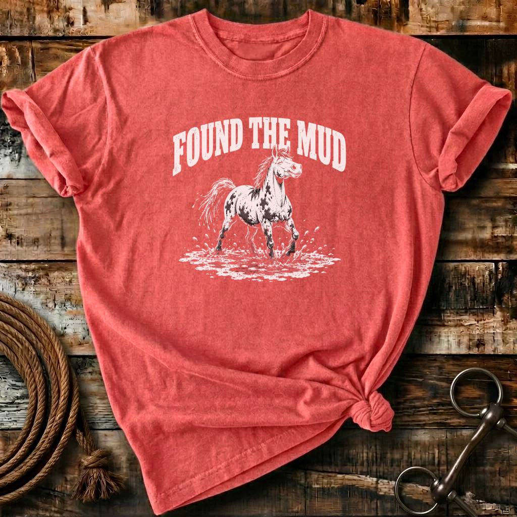 FOUND THE MUD