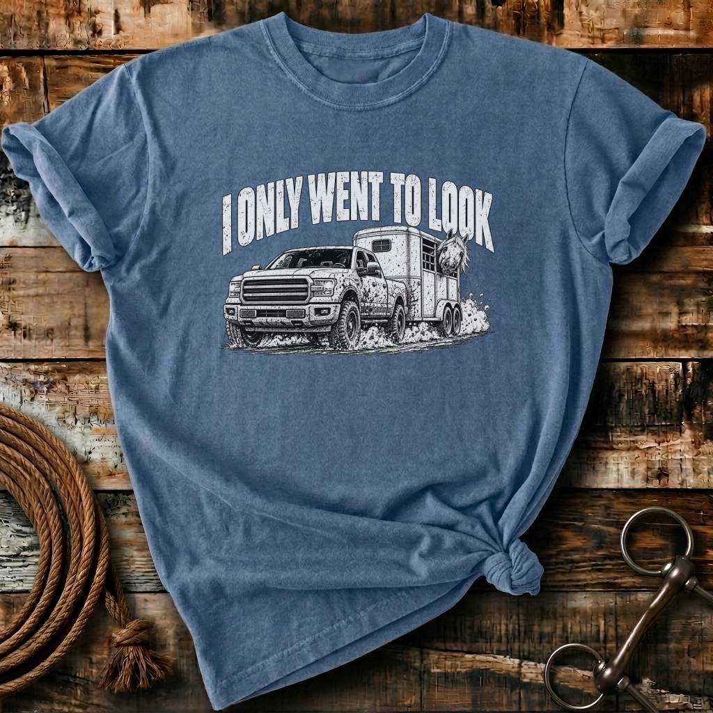 I ONLY WENT TO LOOK