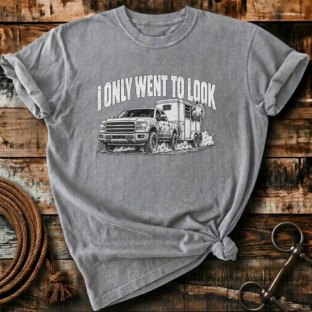 I ONLY WENT TO LOOK