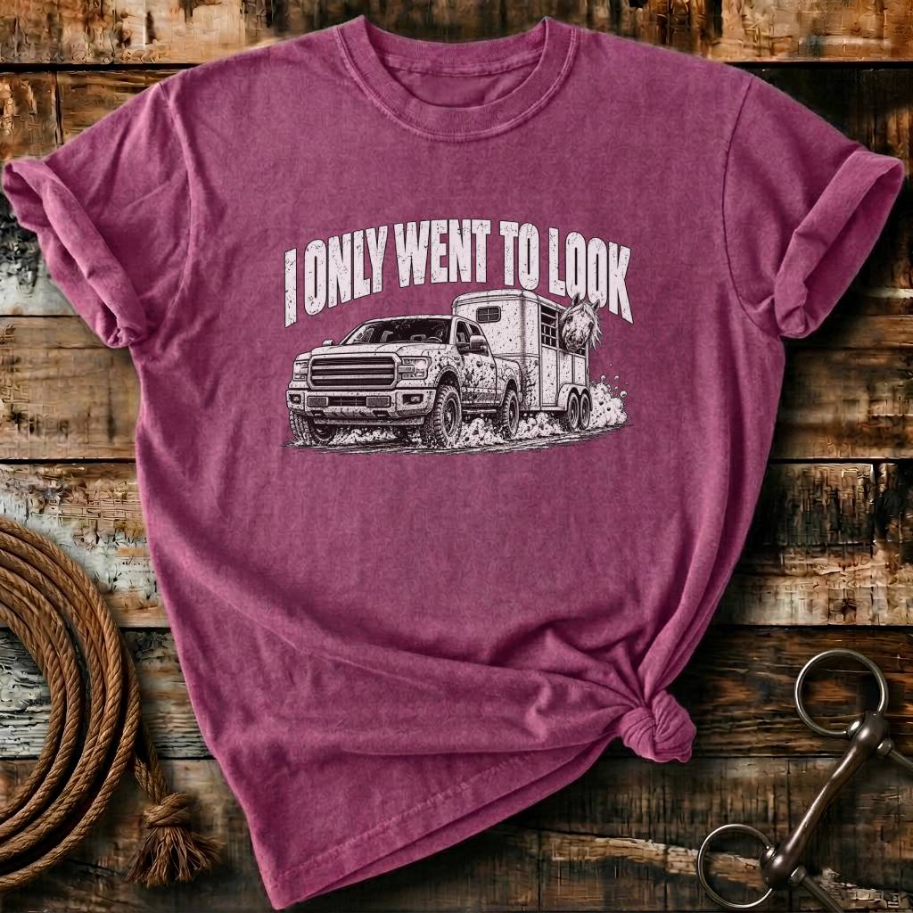 I ONLY WENT TO LOOK
