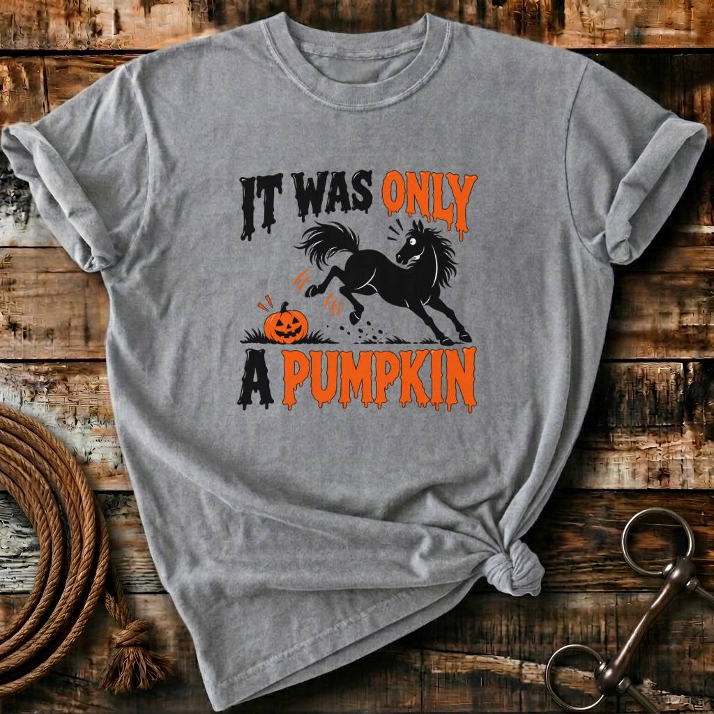 IT WAS ONLY A PUMPKIN