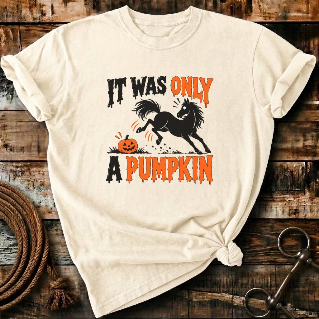 IT WAS ONLY A PUMPKIN