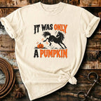 IT WAS ONLY A PUMPKIN