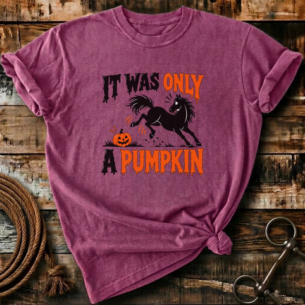 IT WAS ONLY A PUMPKIN