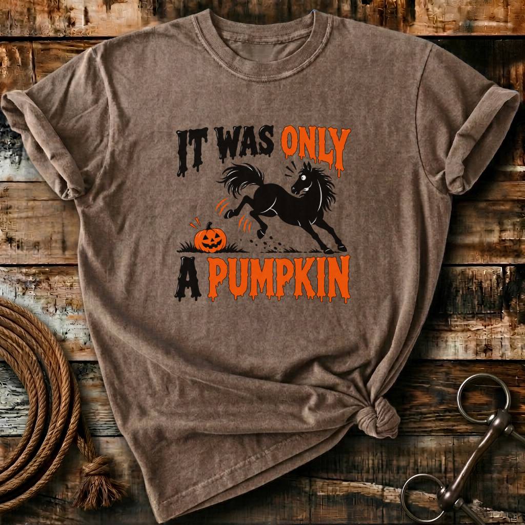IT WAS ONLY A PUMPKIN