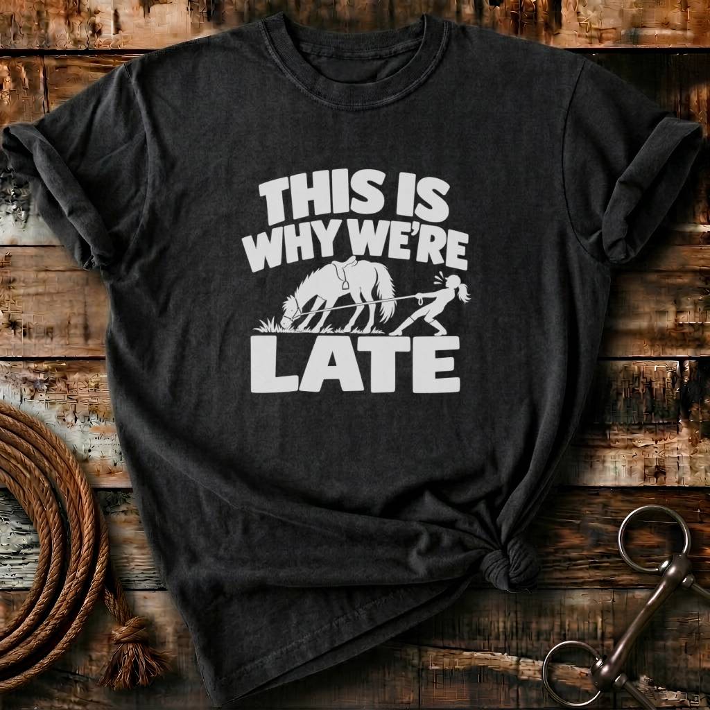 THIS IS WHY WE ARE LATE