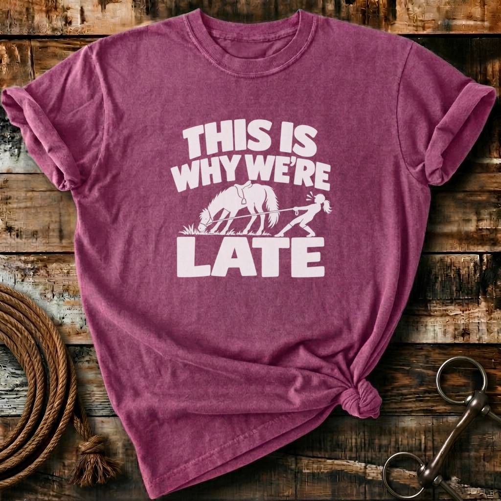 THIS IS WHY WE ARE LATE