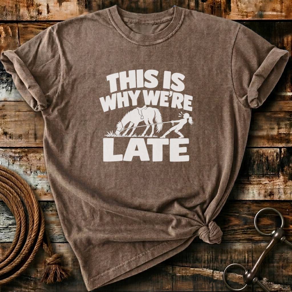 THIS IS WHY WE ARE LATE