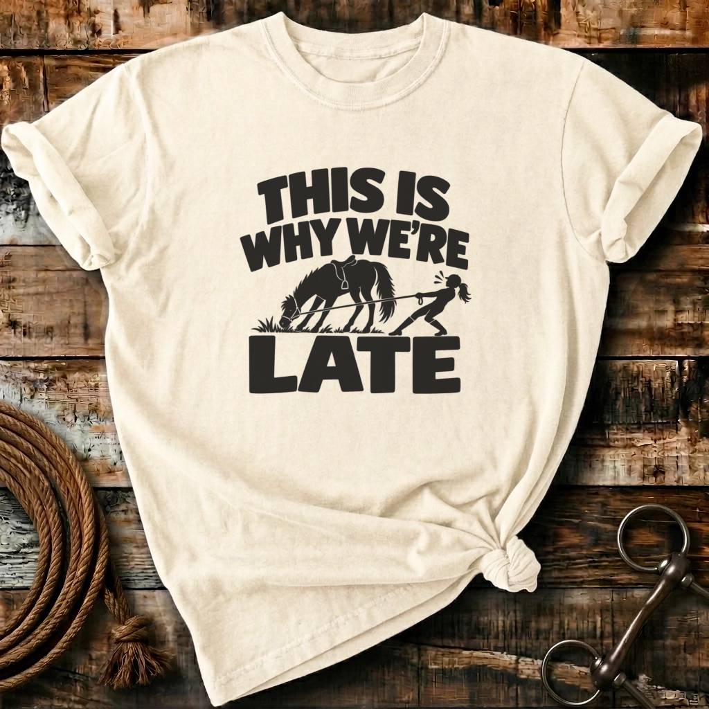 THIS IS WHY WE ARE LATE