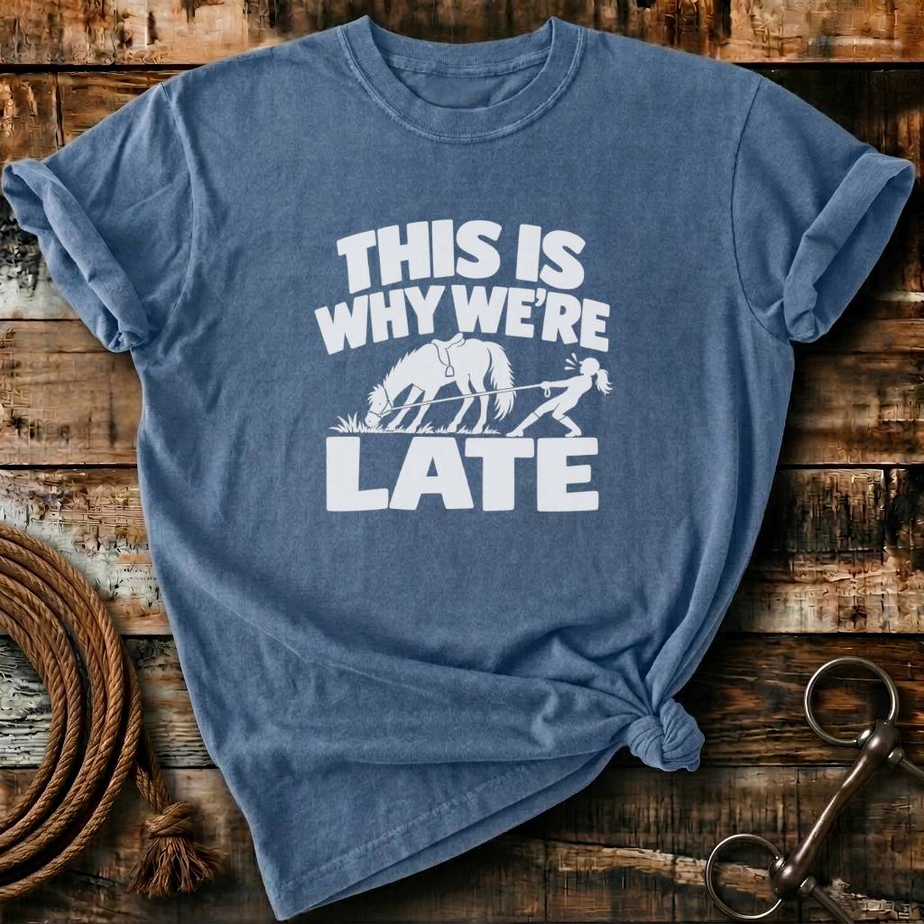 THIS IS WHY WE ARE LATE