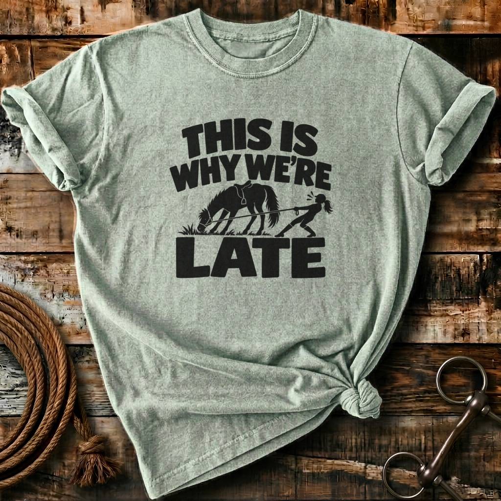 THIS IS WHY WE ARE LATE