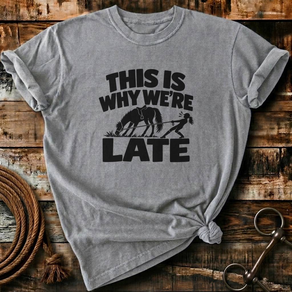 THIS IS WHY WE ARE LATE