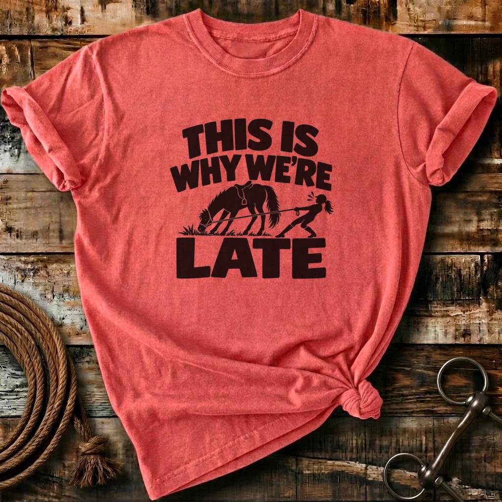 THIS IS WHY WE ARE LATE